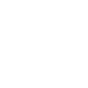company-icon