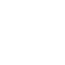 company-icon
