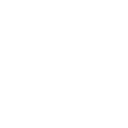 company-icon